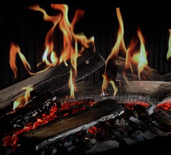 Feu Dru Virtuo evolve